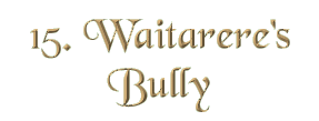 Chapter 15: Waitarere's Bully