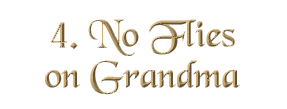 Chapter 4: No Flies on Grandma