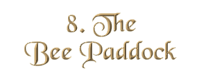 Chapter 8: The Bee Paddock